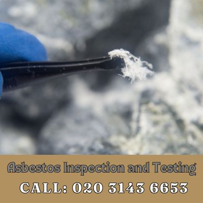 Comprehensive Asbestos Inspection and Testing Services in Old Coulsdon